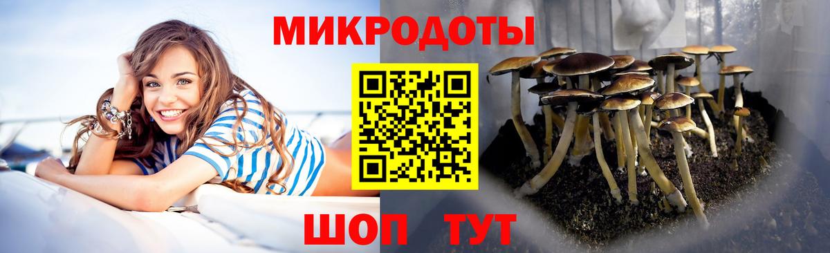Псилоцибиновые грибы мухоморы Миасс